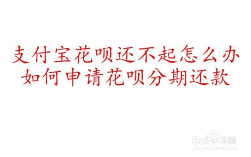 蚂蚁花呗分期多少钱(花呗分期还款每月要付多少)